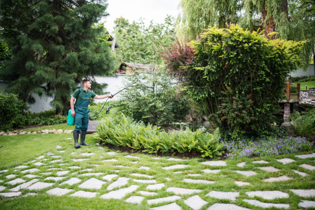Best Local Pest Control Services  in New Castle, IN
